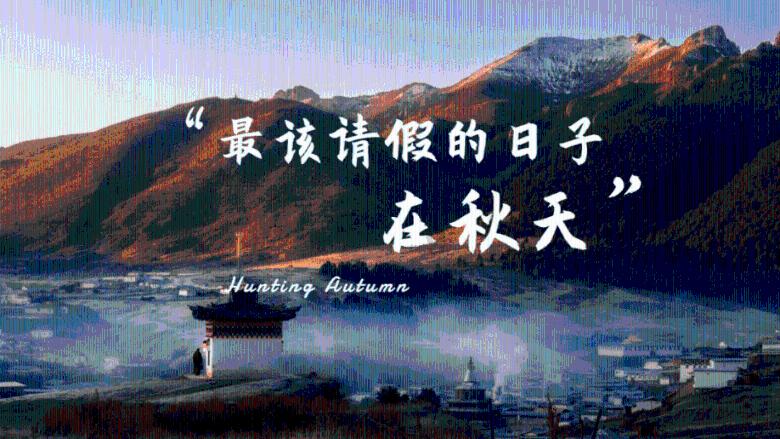 新飞飞