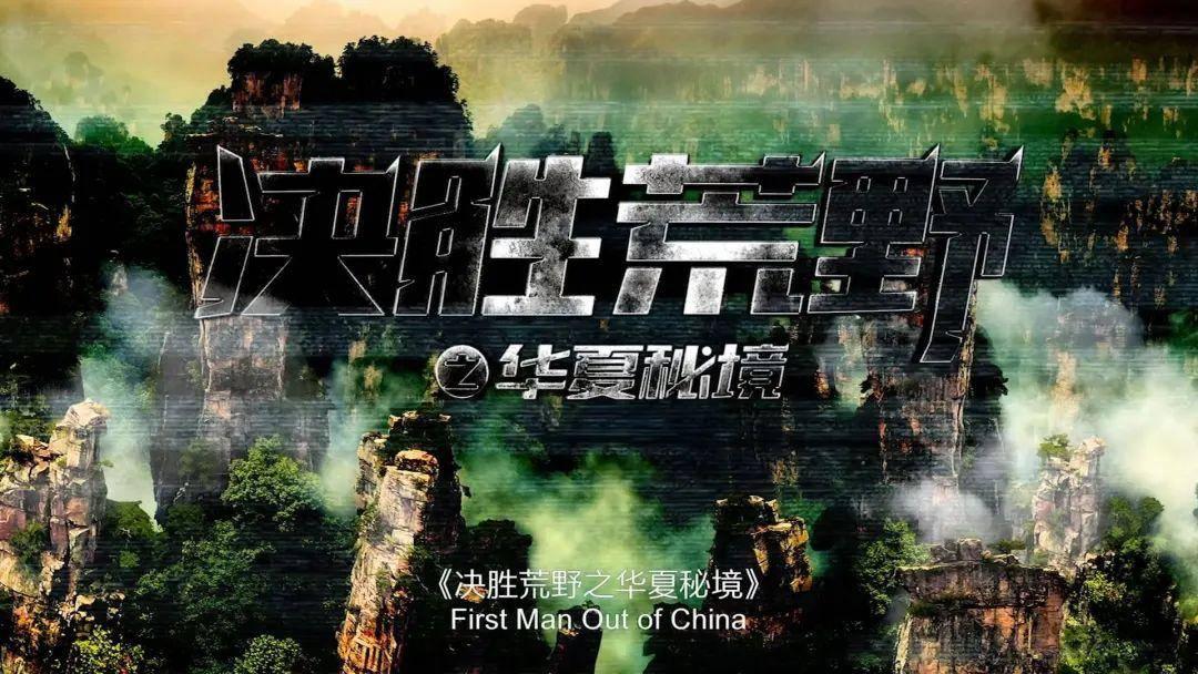 新手怎样养一个月的鹦鹉？游戏画面
