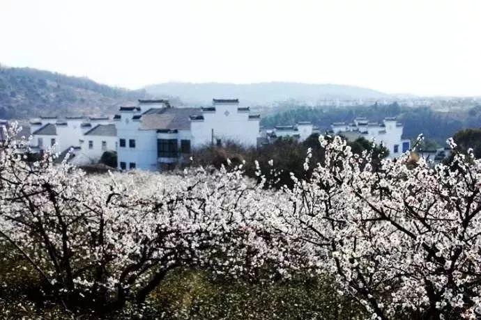 救援选美皇后