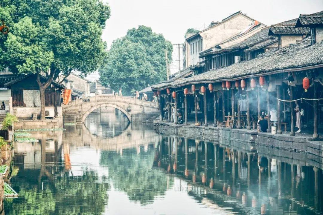 动物帮帮忙保卫家园